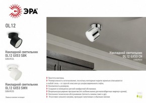 Светильник на штанге Эра OL12 GX53 SBK Б0049034 в Лесном - lesnoy.ok-mebel.com | фото 5