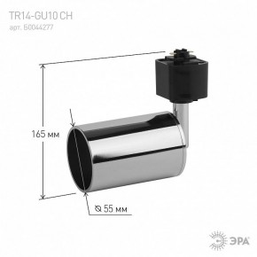 Светильник на штанге Эра  TR14-GU10 CH в Лесном - lesnoy.ok-mebel.com | фото 4