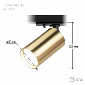 Светильник на штанге Эра  TR39-GU10 BS в Лесном - lesnoy.ok-mebel.com | фото 6