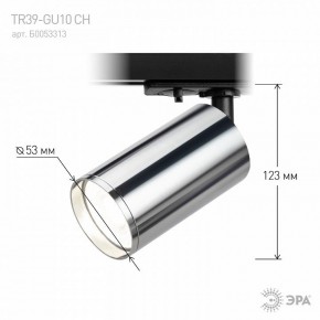 Светильник на штанге Эра  TR39-GU10 СН в Лесном - lesnoy.ok-mebel.com | фото 7