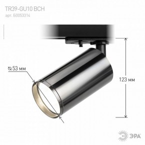 Светильник на штанге Эра  TR39-GU10 ВСН в Лесном - lesnoy.ok-mebel.com | фото 7