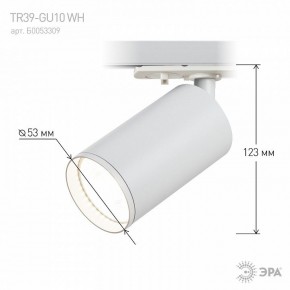 Светильник на штанге Эра  TR39-GU10 WH в Лесном - lesnoy.ok-mebel.com | фото 7