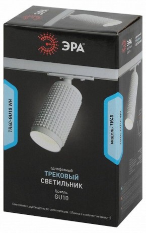 Светильник на штанге Эра  TR40-GU10 WH в Лесном - lesnoy.ok-mebel.com | фото 7