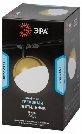 Светильник на штанге Эра  TR42-GX53 BS в Лесном - lesnoy.ok-mebel.com | фото 6