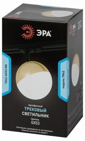 Светильник на штанге Эра  TR42-GX53 MG в Лесном - lesnoy.ok-mebel.com | фото 6