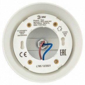 Светильник на штанге Эра  TR42-GX53 WH в Лесном - lesnoy.ok-mebel.com | фото 5