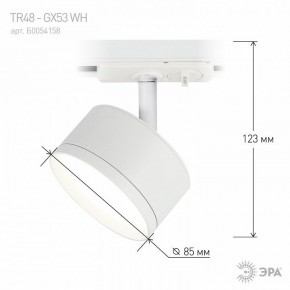 Светильник на штанге Эра  TR48 - GX53 WH в Лесном - lesnoy.ok-mebel.com | фото 4