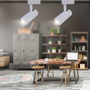 Светильник на штанге Эра  TR5-20 COB WH в Лесном - lesnoy.ok-mebel.com | фото 4