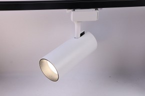 Светильник на штанге Эра  TR5-30 COB WH в Лесном - lesnoy.ok-mebel.com | фото 2