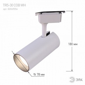 Светильник на штанге Эра  TR5-30 COB WH в Лесном - lesnoy.ok-mebel.com | фото 6