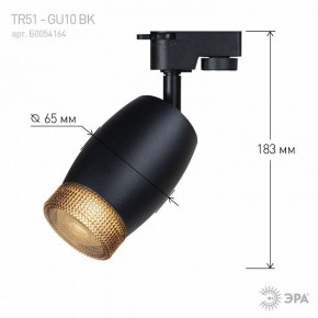 Светильник на штанге Эра  TR51 - GU10 BK в Лесном - lesnoy.ok-mebel.com | фото 4