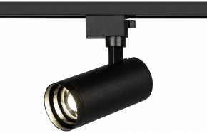 Светильник на штанге Эра  TR59 - 2040 BK в Лесном - lesnoy.ok-mebel.com | фото 5