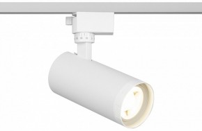 Светильник на штанге Эра  TR59 - 2040 WH в Лесном - lesnoy.ok-mebel.com | фото