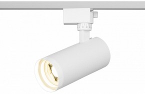 Светильник на штанге Эра  TR59 - 2040 WH в Лесном - lesnoy.ok-mebel.com | фото 5