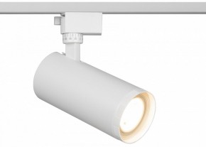 Светильник на штанге Эра  TR59 - 3030 WH в Лесном - lesnoy.ok-mebel.com | фото