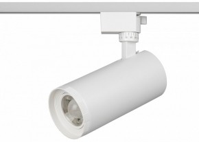 Светильник на штанге Эра  TR59 - 3030 WH в Лесном - lesnoy.ok-mebel.com | фото 2