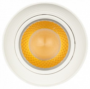 Светильник на штанге Эра  TR59 - 3030 WH в Лесном - lesnoy.ok-mebel.com | фото 3