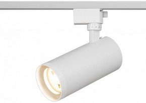 Светильник на штанге Эра  TR59 - 3030 WH в Лесном - lesnoy.ok-mebel.com | фото 5