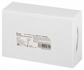 Светильник на штанге Эра  TRM-S5-3-12W4K-BK в Лесном - lesnoy.ok-mebel.com | фото 8