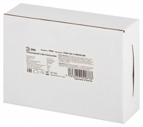 Светильник на штанге Эра  TRM-S5-3-8W4K-BK в Лесном - lesnoy.ok-mebel.com | фото 8