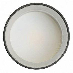 Светильник на штанге Feron ML1001 51371 в Лесном - lesnoy.ok-mebel.com | фото 4
