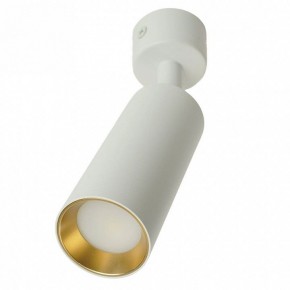 Светильник на штанге Feron ML1011 51380 в Лесном - lesnoy.ok-mebel.com | фото 9