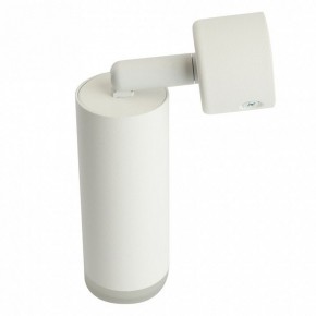 Светильник на штанге Feron ML1021 51390 в Лесном - lesnoy.ok-mebel.com | фото 3