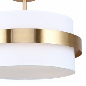 Светильник на штанге Freya Bride FR5367CL-03BS в Лесном - lesnoy.ok-mebel.com | фото 3