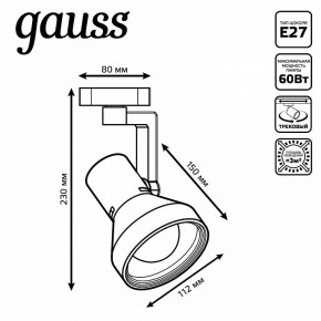 Светильник на штанге Gauss Track Light TR005 в Лесном - lesnoy.ok-mebel.com | фото 6