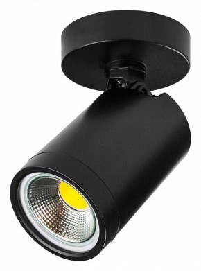 Светильник на штанге Lightstar Rullo 213407 в Лесном - lesnoy.ok-mebel.com | фото
