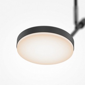 Светильник на штанге Maytoni Fad MOD070CL-L8B3K в Лесном - lesnoy.ok-mebel.com | фото 4