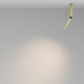 Светильник на штанге Maytoni Focus T C142CL-6W3K-BS в Лесном - lesnoy.ok-mebel.com | фото 4