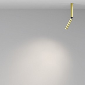 Светильник на штанге Maytoni Focus T C142CL-6W4K-BS в Лесном - lesnoy.ok-mebel.com | фото 4