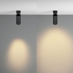 Светильник на штанге Maytoni Focus Zoom C055CL-L12W2.7K-Z-B в Лесном - lesnoy.ok-mebel.com | фото 3