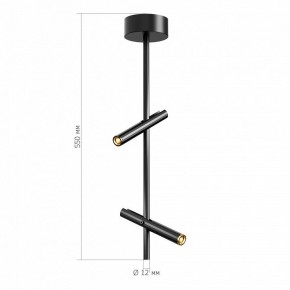 Светильник на штанге ST-Luce LILT SL6210.403.02 в Лесном - lesnoy.ok-mebel.com | фото 3