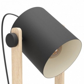 Торшер Eglo HORNWOOD 43521 в Лесном - lesnoy.ok-mebel.com | фото 4