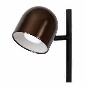 Торшер Lucide Skanska Rech 03749/03/96 в Лесном - lesnoy.ok-mebel.com | фото 3