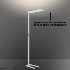 Торшер Novotech STUDI 359545 в Лесном - lesnoy.ok-mebel.com | фото 6