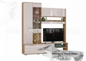 ФЛАЙ Центральная секция ЦС-01 (дуб сонома/белый) в Лесном - lesnoy.ok-mebel.com | фото 2