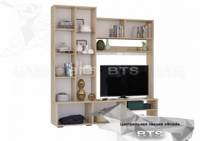 ФЛАЙ Центральная секция ЦС-01 (дуб сонома/белый) в Лесном - lesnoy.ok-mebel.com | фото 4