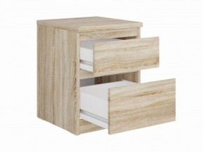 Тумба КАСТОР малая с двумя ящиками, цвет Дуб Сонома в Лесном - lesnoy.ok-mebel.com | фото 2