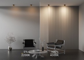 Встраиваемый светильник Maytoni Onda DL024-12W-DTW-BMG в Лесном - lesnoy.ok-mebel.com | фото 9